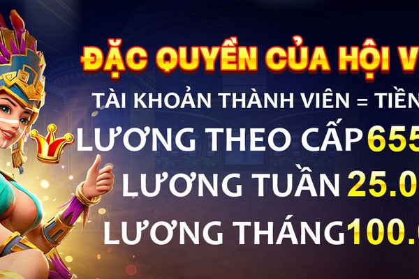 Minh họa các lợi ích độc quyền của thành viên VIP XN88