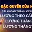 Tri ân thành viên XN88